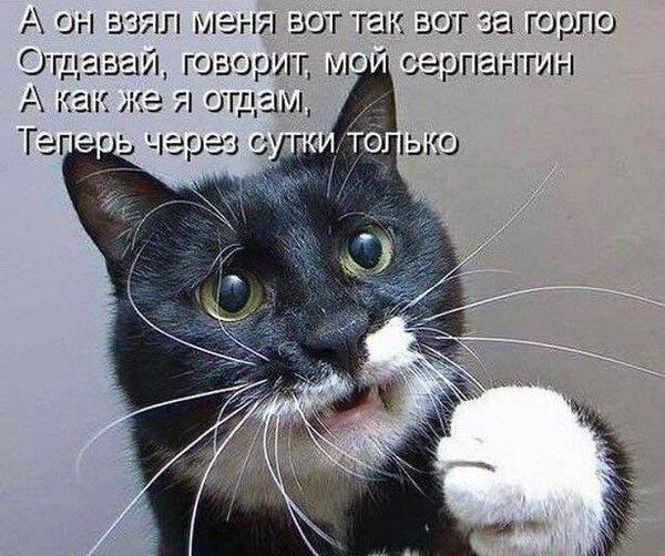 К закату катился второй день новогоднего апокалипсиса...