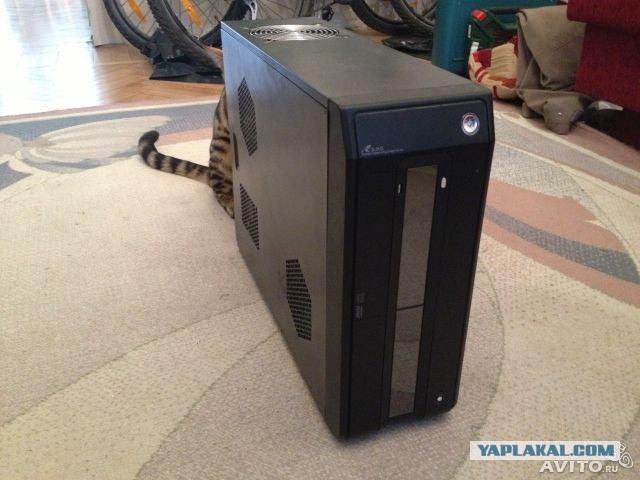 Крадущийся тигр