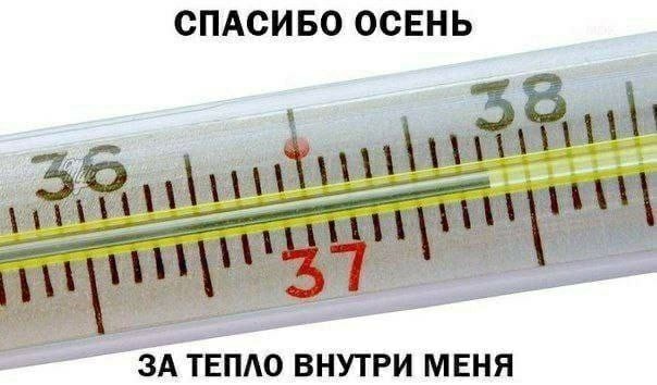 Картинки для деградации 58 (разной степени свежести)