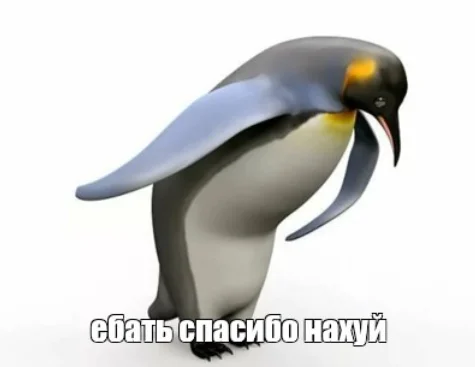 Москва и Дели подготовят соглашение о гарантиях для индийских мигрантов