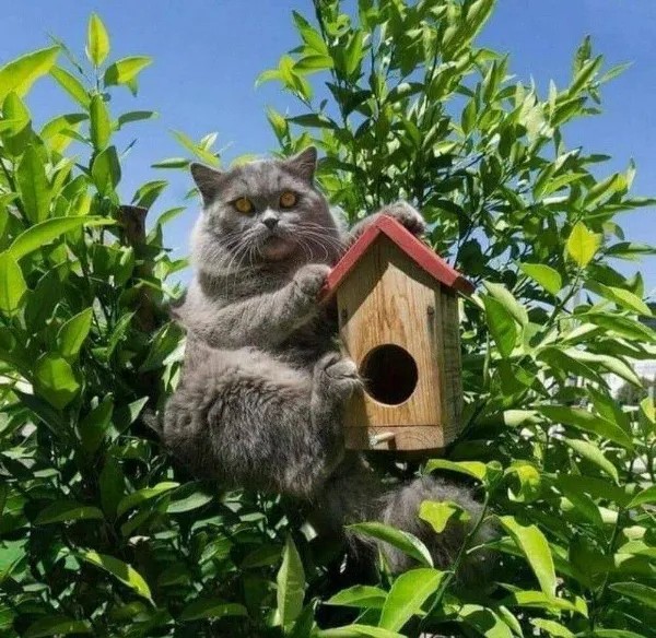 Прикольные и просто красивые картинки 18.11.2025