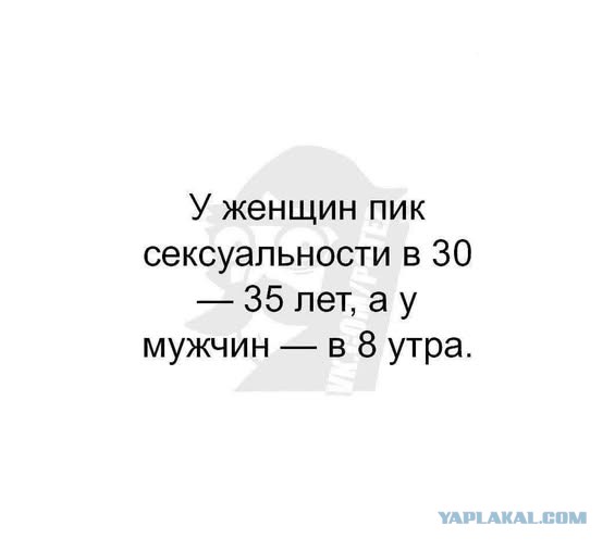 Картиночки, баянчики 15 декабря