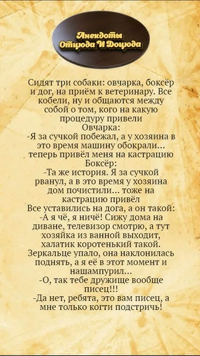 Отвлекитесь и посмотрите на кролика, которому просто стригут когти