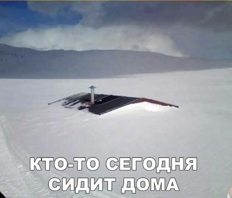 Сильный крот