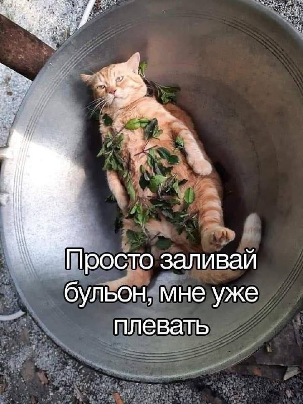 Картинки для деградации 252 (разной степени свежести)