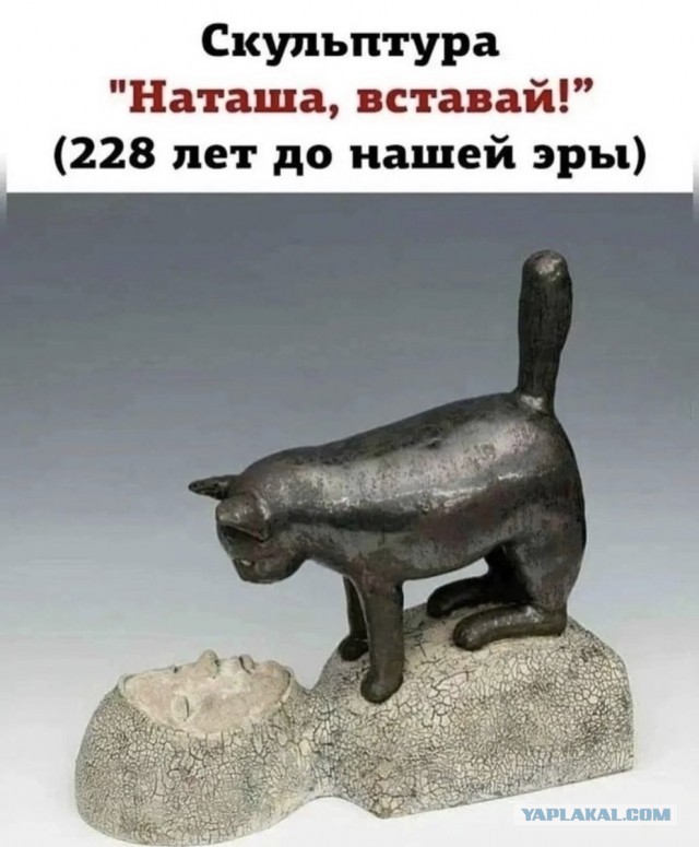 Новый