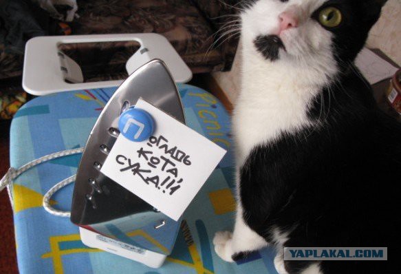 Сила утюжка!