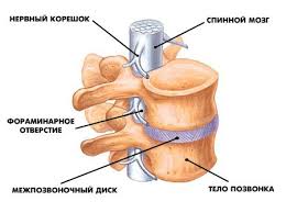 Мисс Конгениальность