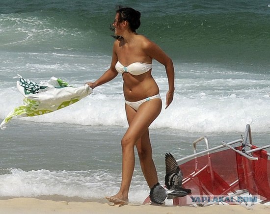 Нафик с пляжа!