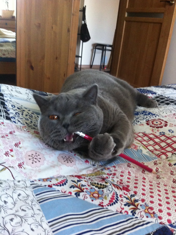 Котовторник 27.5.2014