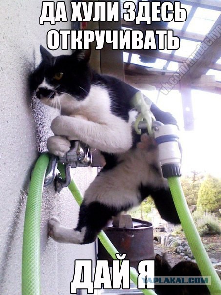 Забавные картинки и комменты из соцсети