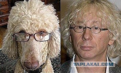 Они нашли себя