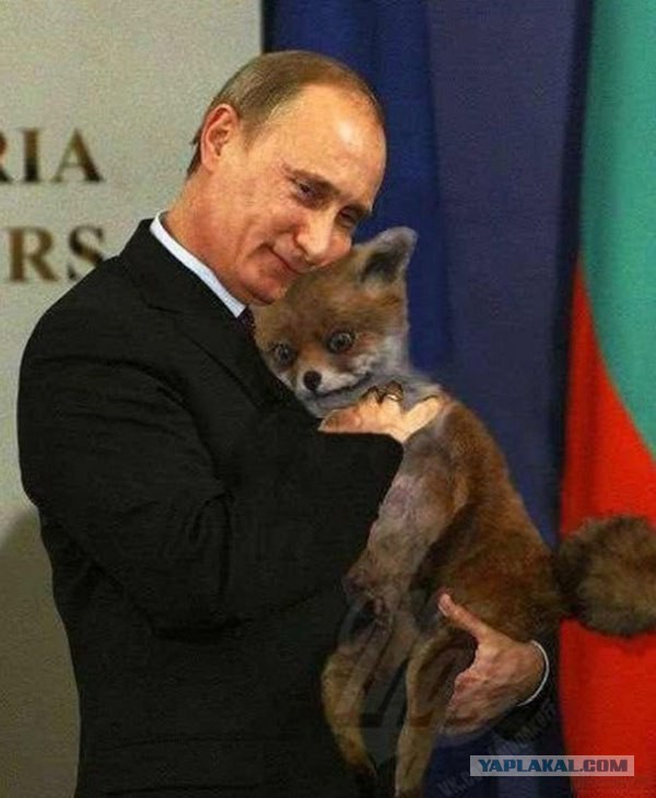Путин об отношении запада к России