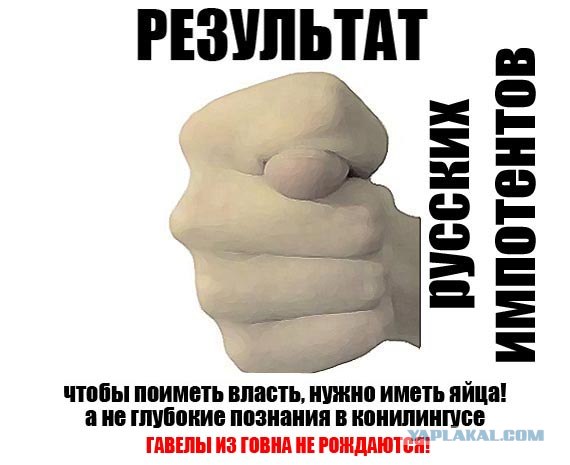 Мои фото с митинга на Болотной, прикольные лозунги