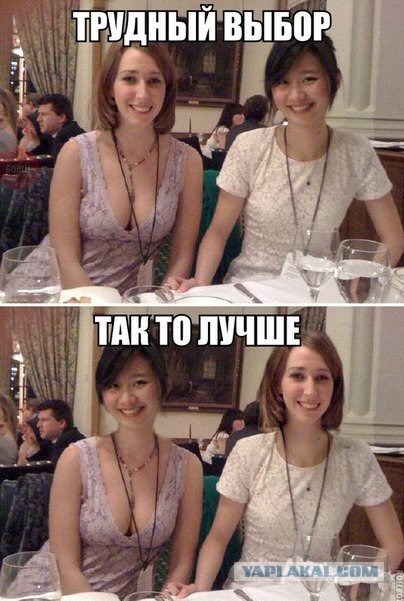 Весёлое из сети