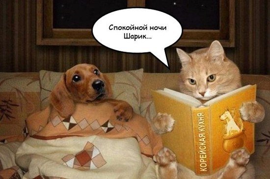 Смешные картинки, приколы, комментарии и прочее...