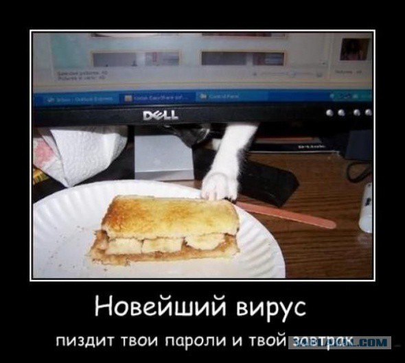 Веселое из сети