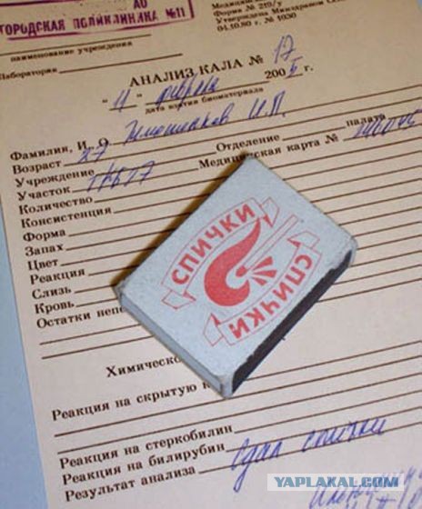 Лишь аромат мы передать не в силах…