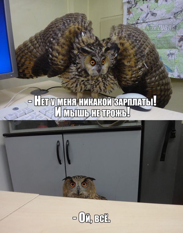 Прикольные картинки на понедельник