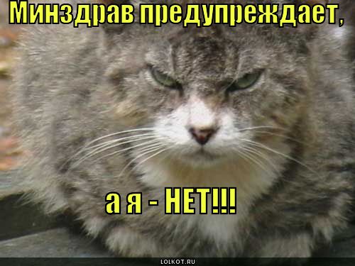 Известные котомемы.