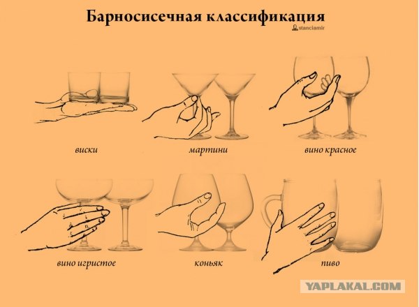 Поддержали девушку