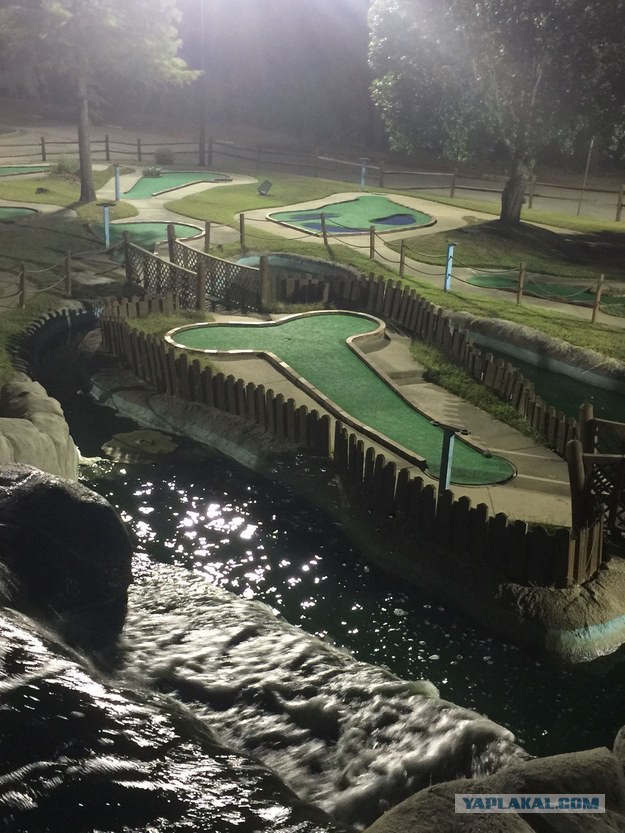 21 доказательство того, что Фрейд был прав