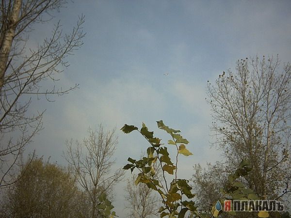 ПРИРОДА. Красивые пейзажи, города, небо и т.п.