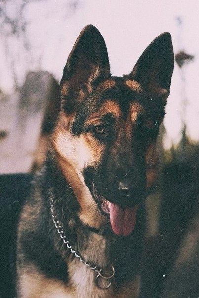 Разные картинки