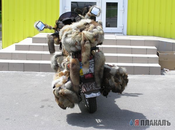 Мото раздел