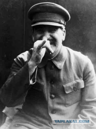 Ходят ли депутаты и чиновники за продуктами