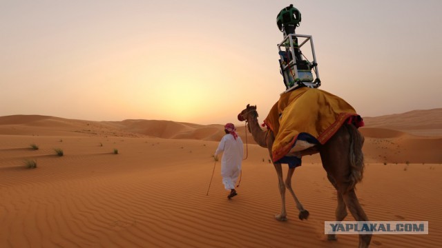 Свежая подборка красивых фото