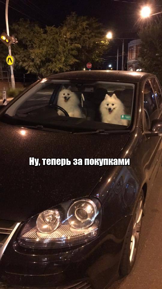 Картинки с надписями