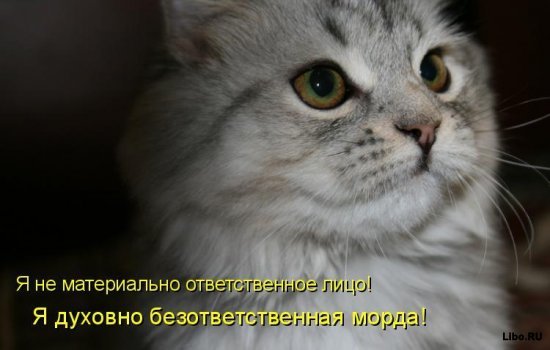 Мохнатые беспредельщики
