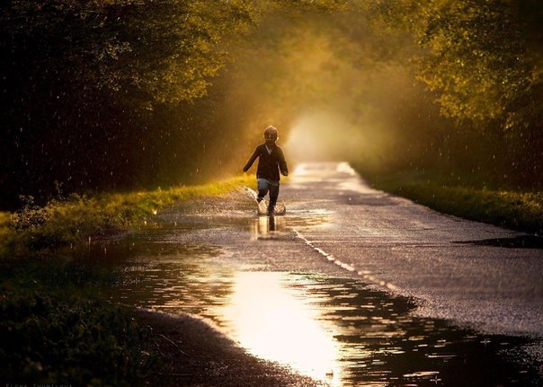 Подборка интересных и веселых фото