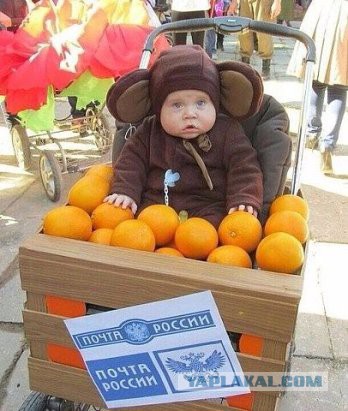 Немного картинок на понедельник