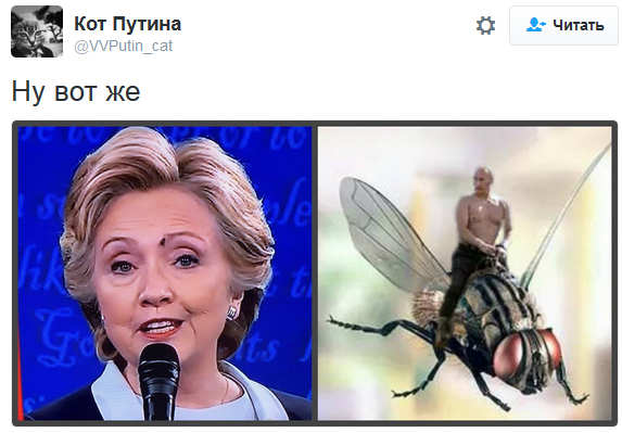 Зло, но смешно, в картинках 2