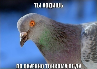 Догадайтесь, чем занимается эта девушка?