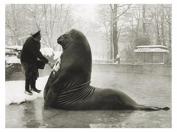 Интересные и редкие ретро-фотографии