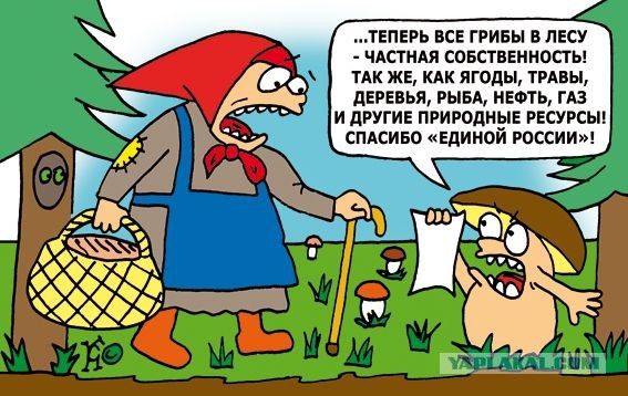 В России предложили ввести сбор для выезжающих на курорты за границу