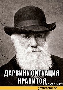 Женщина,перебегавшая МКАД,погибла в дтп с мотоциклом