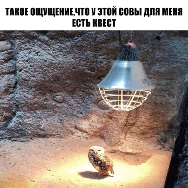 Подборка интересных и веселых картинок