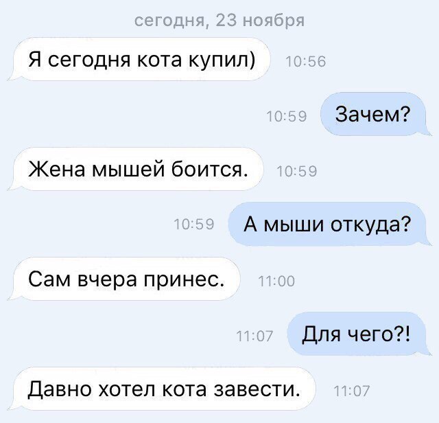 Ударная доза тупежа и лёгкой наркомании к выходным