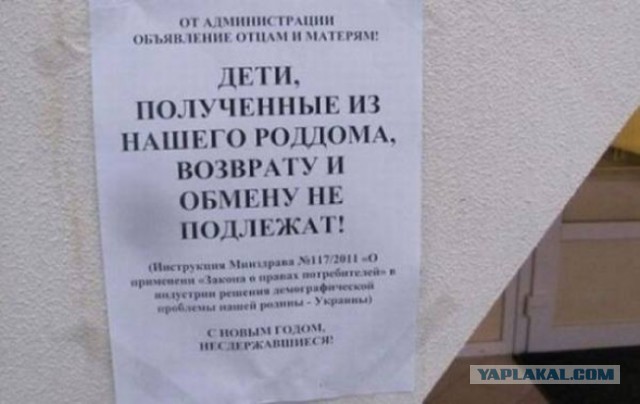 30 объявлений, мимо которых вы просто не сможете пройти