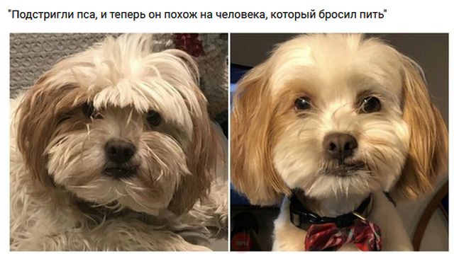 Подборка интересных и веселых картинок
