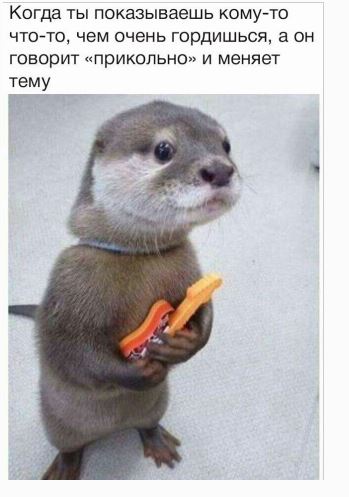 Нестандартный юмор
