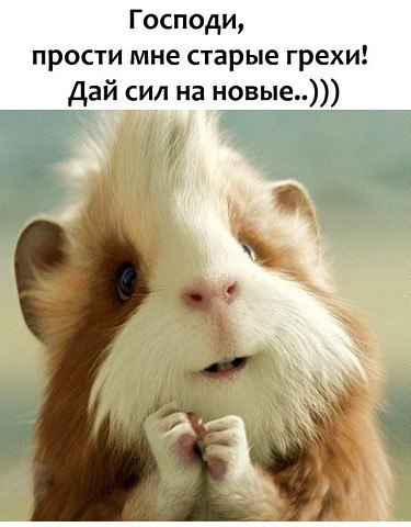 Картинки для тех, кто пахал и устал