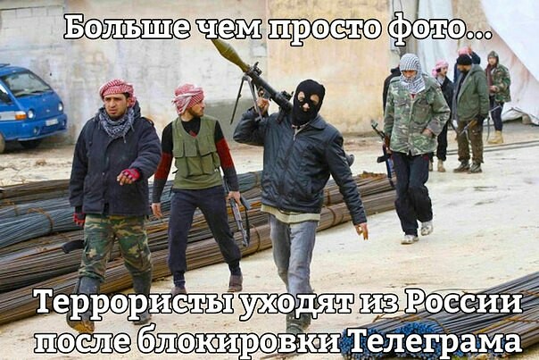 Ученые России призвали остановить «вредоносную деятельность» Роскомнадзора