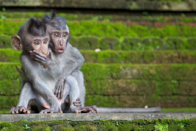 Жанна Агузарова обнажилась в поддержку сборной России!