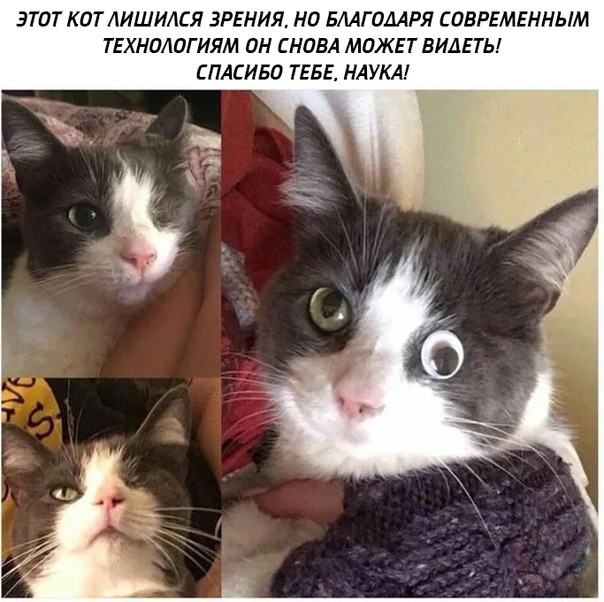 Веселье тёмных сил в эти выходные