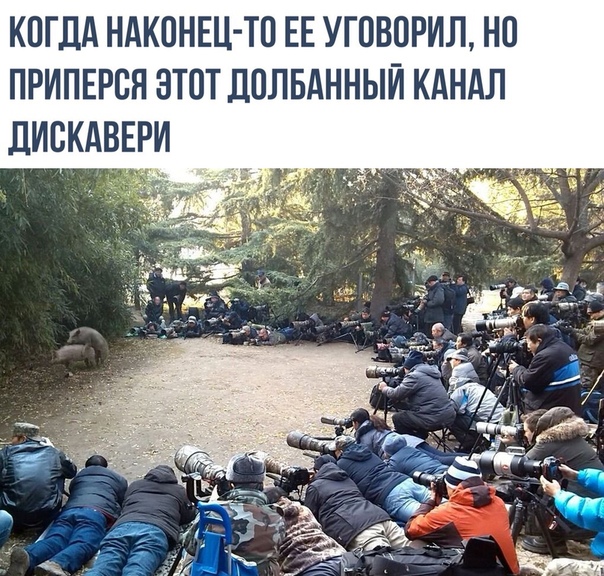 Немного картинок на этот вторник